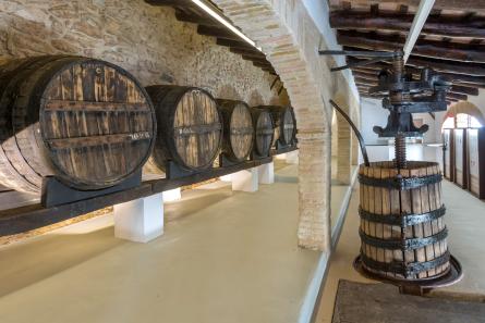Celler CIM